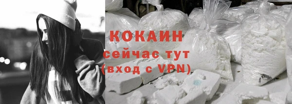 стафф Вязьма