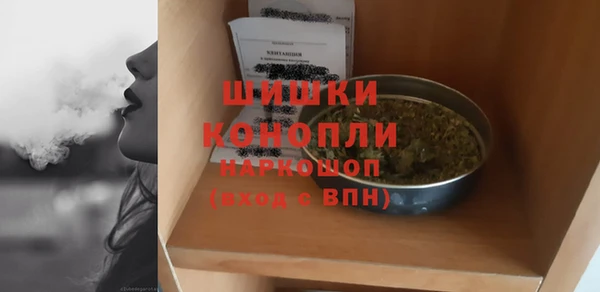 стафф Вязьма