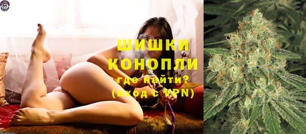 стафф Вязьма