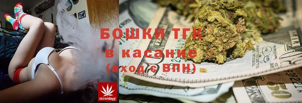 стафф Вязьма