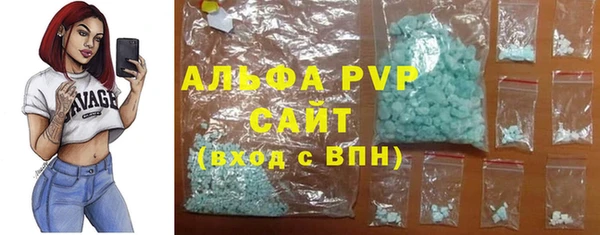 стафф Вязьма