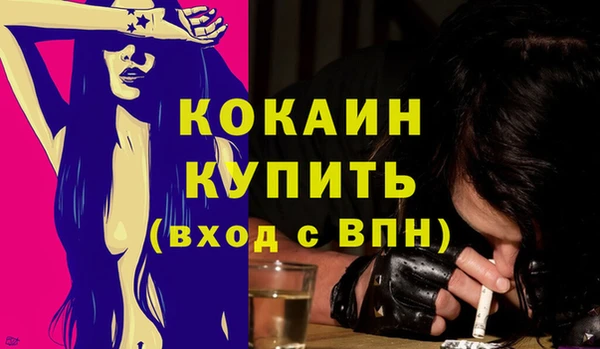 стафф Вязьма